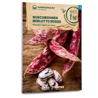 Buschbohne Borlotto Rosso - Phaseolus vulgaris var. nanus...