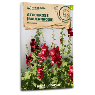 Malve, Stockrose, Bauernrose - Alcea rosea - BIOSAMEN