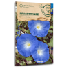 Winde, Prachtwinde - Ipomoea tricolor - BIOSAMEN