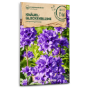 Knäuel-Glockenblume (Wildblume) - Campanula glomerata - BIOSAMEN