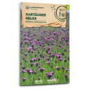 Kartäuser Nelke (Wildblume) - Dianthus carthusianorum - BIOSAMEN