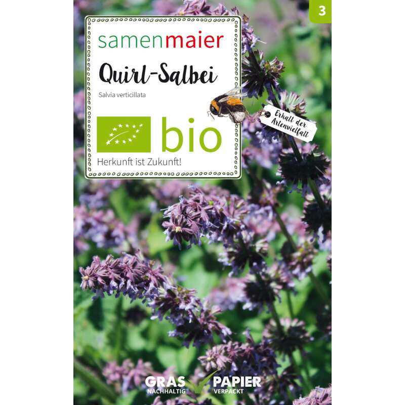 Quirl-Salbei (Wildblume) - Salvia verticillata - BIOSAMEN