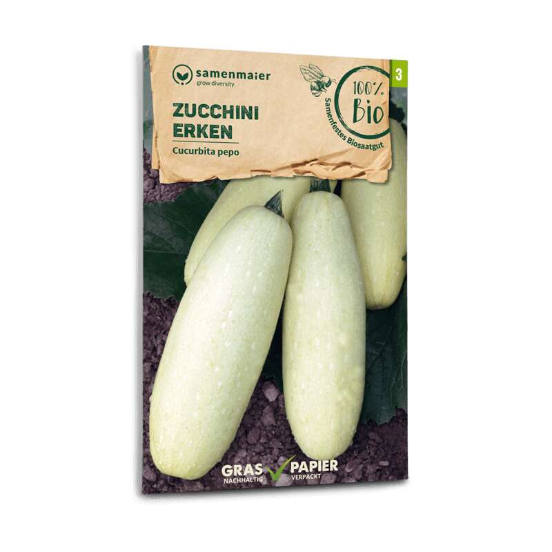 Zucchetti, Zucchini Erken - Cucurbita pepo - BIOSAMEN