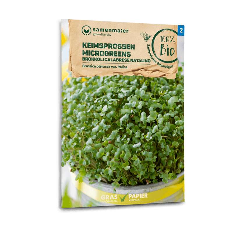 Keimsprossen / Microgreens Brokkoli, Broccoli Calabrese natalino - Brassica oleracea var. italica - BIOSAMEN