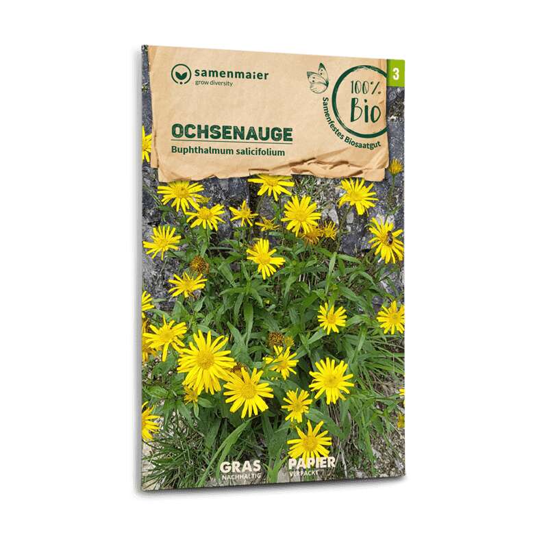 Ochsenauge (Wildblume) - Buphthalmum salicifolium - BIOSAMEN