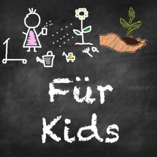 Beet-Box Für Kids - BIOSAMEN