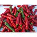 Chili De Cayenne - Capsicum annuum - Demeter biologische...