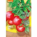 Tomate, Buschtomate Jani - Solanum Lycopersicum L. -...