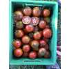 Tomate, Fleischtomate Black Trifele 2 - Solanum Lycopersicum L. - Demeter biologische Samen
