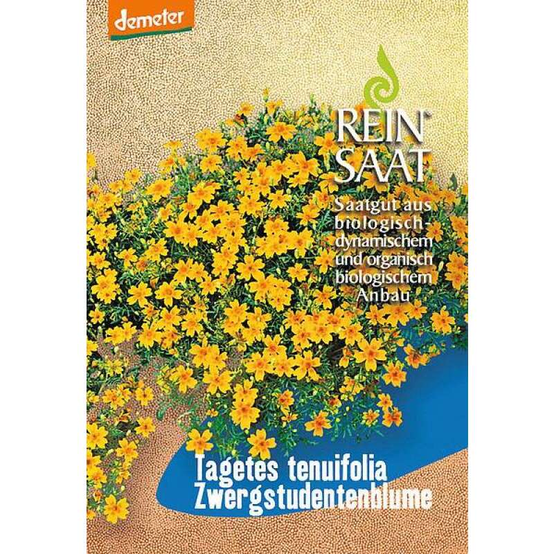Studentenblume, Zwergstudentenblume - Tagetes tenuifolia - Demeter biologische Samen