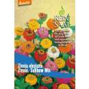 Zinnie, kleinblütige Sunbow Mix - Zinnia elegans -...