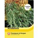 Rosmarin - Rosmarinus officialis - Samen