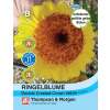 Ringelblume Double Crested Crown Yellow - Calendula officinalis - Samen