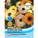 Ringelblume Playtime Mischung - Calendula officinalis -...