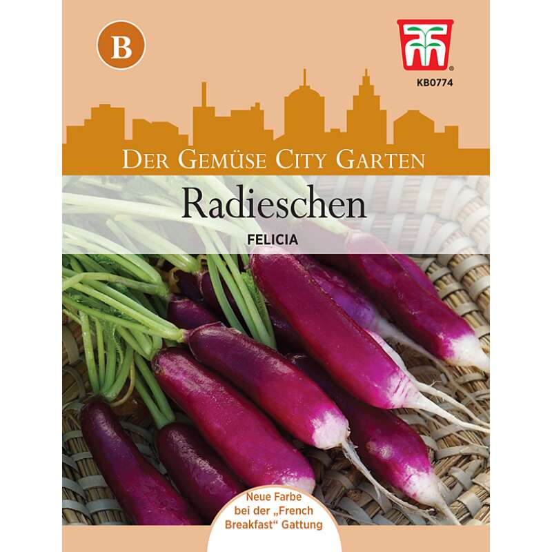 Topf Radieschen Felicia - Raphanus sativus - Samen