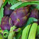 Artischocke, italienische Violette von Chioggia - Cynara...