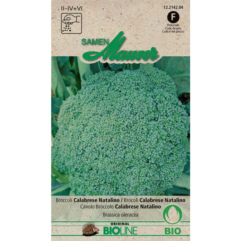 Broccoli Calabrese Natalino - Brassica oeracea - BIOSAMEN