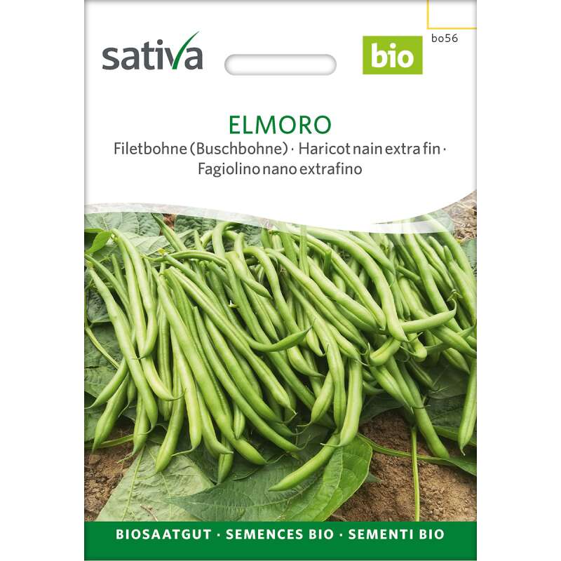 Buschbohne Elmoro - Phaseolus vulgaris - BIOSAMEN