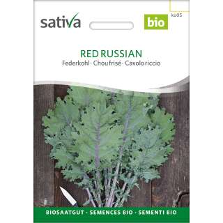 Federkohl, Grünkohl Red Russian - Brassica oleracea var. sabellica - BIOSAMEN