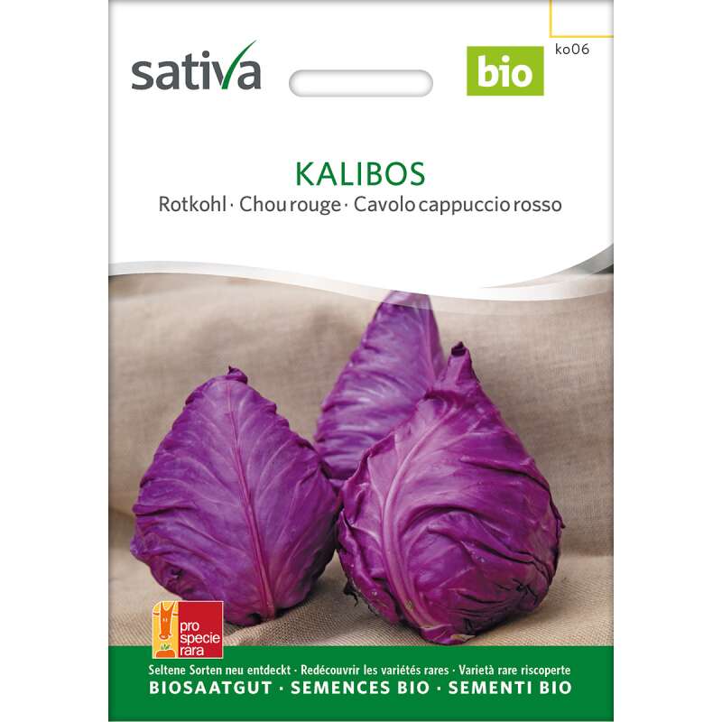 Rotkabis, Rotkohl (spitz) Kalibos - Brassica oleracea convar. capitata - BIOSAMEN