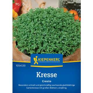 Kresse Cresto PROFILINE - Lepidium sativum - Samen