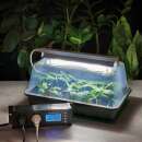 Thermostat HortiSwitch, digital, zur Pflanzenheizung