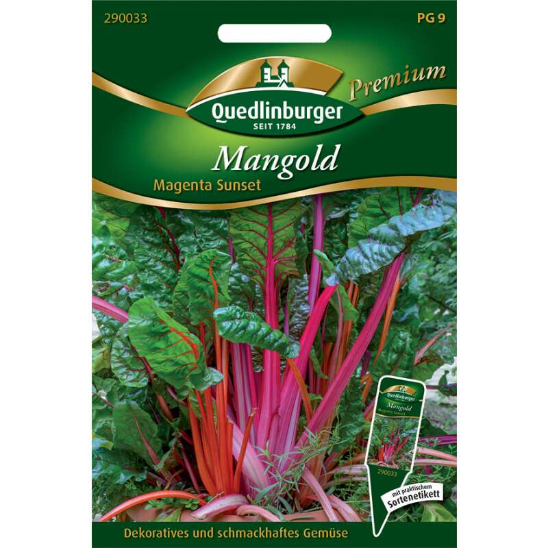Mangold, Magenta Sunset - Beta vulgaris Cicla - Samen