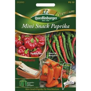 Mini Snack Paprika Trio - Capsicum annuum L. - Saatplatte