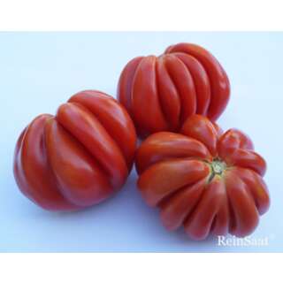 Tomate, Fleischtomate Malea - Solanum Lycopersicum L. - Demeter biologische Samen