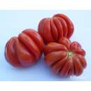 Tomate, Fleischtomate Malea - Solanum Lycopersicum L. - Demeter biologische Samen