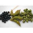 Edamame, Sojabohne Hokkai Black - Glycine max - BIOSAMEN