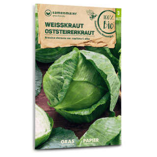 Weisskraut Oststeirerkraut - Brassica oleracea var. capitata f. alba - BIOSAMEN