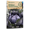 Rotkabis, Rotkohl, Rot- Blaukraut Amaranth - Brassica oleracea var. capitata f. rubra - BIOSAMEN