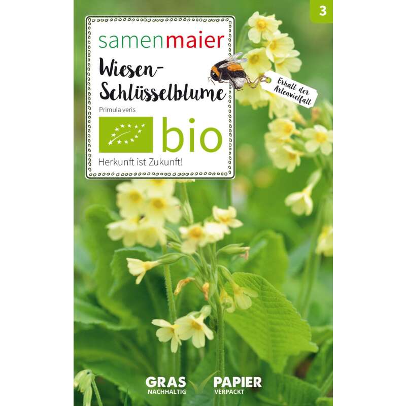 Wiesenschlüsselblume - Primula veris - BIOSAMEN