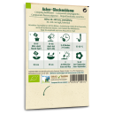Acker-Glockenblume (Wildblume) - Campanula rapunculoides...