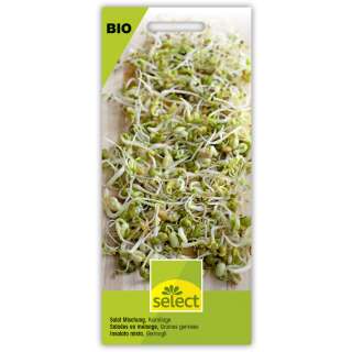 Bio-Speisekeimlinge Salat Mischung - Diverse Sorten - Samen