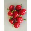 Chili Habanero rot - Capsicum annuum - Demeter biologische Samen