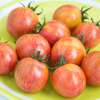 Tomate Artisan Pink Bumble Bee -  Solanum lycopersicum - Tomatensamen