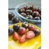 Tomate Indigo Cherry Drops -  Solanum lycopersicum - Tomatensamen