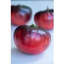 Tomate Indigo Blue Beauty -  Solanum lycopersicum -...