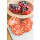 Tomate Indigo Blue Beauty -  Solanum lycopersicum - Tomatensamen