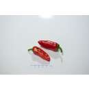 Paprika Lunchbox Pepper RED - Capsicum annuum - Samen