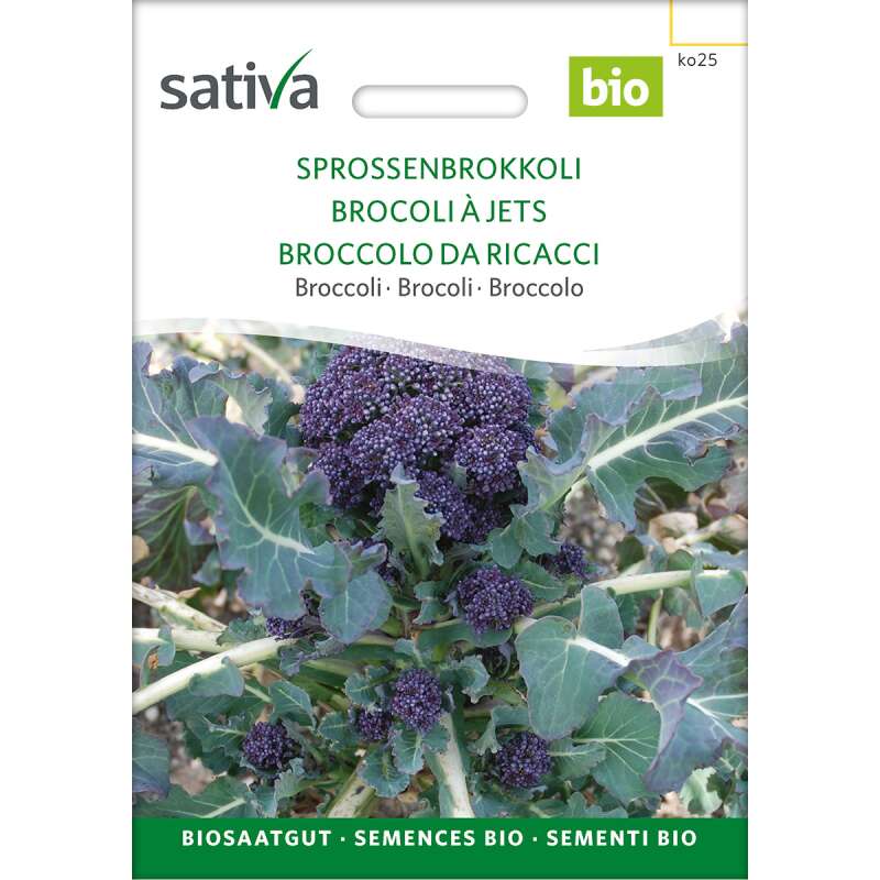 Broccoli, Sprossenbrokoli - Brassica oleracea var. Italica  - BIOSAMEN