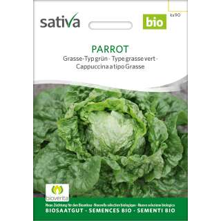 Kopfsalat Grasse-Typ Parrot - Lactuca sativa  - BIOSAMEN