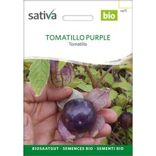 Tomatillo Purple - Physalis ixocarpa - Biologische...