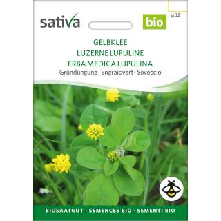 Gründüngung Gelbklee - Medicago lupulina - BIOSAMEN