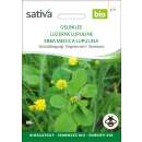 Gründüngung Gelbklee - Medicago lupulina -...