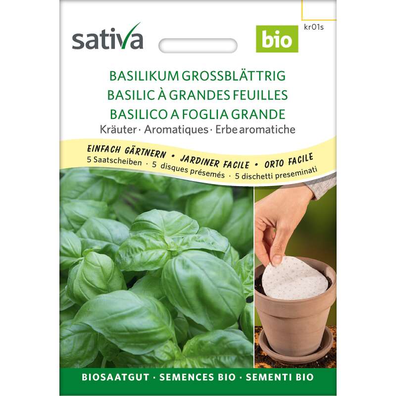 Basilikum grossblättrig - Ocimum basilicum - Saatband