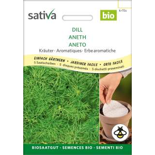 Dill - Anethum graveolens - Saatscheiben