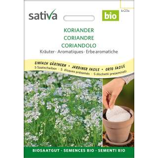 Koriander, kleinfrüchtiger - Coriandrum sativum  -...